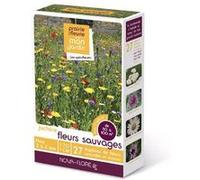 novaflore - jachère fleurs sauvages 50 à 100 m2