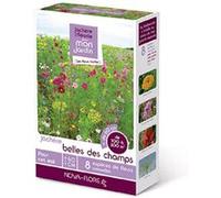 Novaflore – Prairies fleuries – Jachères Belle des champs 100 m2