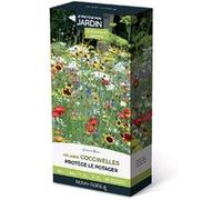 Prairies fleuries : coccinelles