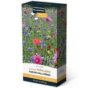 novaflore - prairies fleuries : j'invite les papillons 30 m2 G