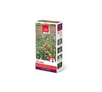 novaflore - prairies fleuries : prairie durable 30 m2