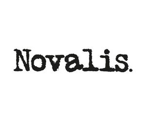 Novalis Chroniques Oubliées Aventures : Pointe Noire