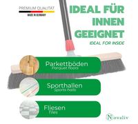 Novaliv Grand balai Balai de salle 60 cm avec manche poils Balai en crin de cheval y compris garniture de balayage galvanisée avec lèvre en caoutchouc composée d'une tôle de balayage et d'un balai à m