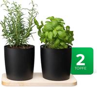 Novaliv Station d'herbes aromatiques élégante, set de 2 avec support en bois et 2 pots à herbes aromatiques pour chaque rebord de fenêtre, pour des herbes fraîches de cuisine, jardin d'herbes aromatiq