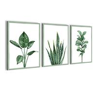 Novart- Tableau Décoration Murale- Grow your mind- Decoration Chambre Salon- Prêt à être Accroché- 3 Cadres de 30x40 cm- Vert- N024035a