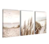 Novart Tableaux Boho Pampasgras - PRÊT À ÊTRE ACCROCHÉ - Salon Chambre decoration murale - 3 Parties Set Beach Vintage - N003930a