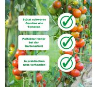 Novatool 100x tiges d'échardes 40 cm x 4 mm I Vert I Tiges pour plantes aide à la croissance tige de bambou tige de bambou support de plantes tige de bois plant stakes