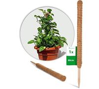 Novatool Barre de plantation en coco 80 cm I Ø 45 mm I professionnel I extensible I fibre de coco naturelle I support plantes I bâton de plante I bâton de mousse de coco bâton de plantation de noix