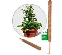 Novatool Bâton de coco 80 + 110 cm - Diamètre : 45 mm - Professionnel - Extensible - Fibre de coco naturelle - Support pour plantes - Bâton de coco