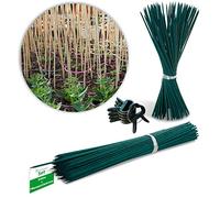 Novatool Lot de 100 tiges de séparation de 70 cm et 20 fixations pour plantes I Tuteur de plantes d'intérieur I Tige en bambou pour plantes I Tuteur de plantes I Bâtons de bambou