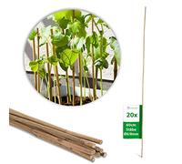 Novatool Lot de 20 tiges de tonkin 60 cm I Ø 6-8 mm I Marron I Bâtons de tonkin Tuteurs de tomates Tuteur de fleurs Support en bambou pour plantes