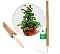 Novatool Lot de 3 bâtons de coco pour plantes de 80 cm I Ø 45 mm I Extensible I Fibre de coco naturelle I Tuteur de coco pour plantes monstera Plante de lierre Moss Pole