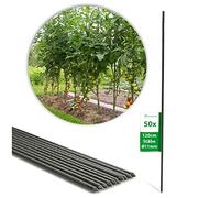 Novatool Lot de 50 bâtons de fleurs Vert 120 cm Diamètre 11 mm