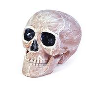 Novelty-HI266 Bristol Novelty HI266 Faux Crâne, Couleur Rose/Blanc