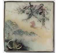 Novo Amor - Birthplace (Black Vinyl)