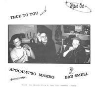 NOW FORM A BAND 7" (45) FRENCH WIPED OUT 0 3 TRACK (WO007)