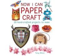 Now I Can Paper Craft: 20 Hand-Crafted Projects To Make