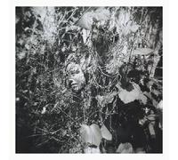 NOW IS THE LAST BEST TIME