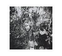 Now is The Last Best Time