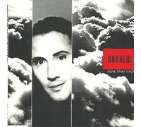 Now That I Found You (INCL. Long Version, 1994) [Import]