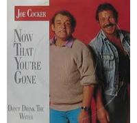 Now That You´re Gone/Don´t Drink the Water(7" Vinyl Single)(1986)(Capitol 1C 006-20 1563 7)