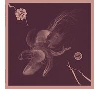 Now That You Ve Found It