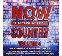 Now That's What I Call Country, Vol. 4