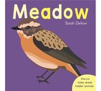 Now you See It Meadow by Sarah Dellow Sarah Dellow (Auteur)