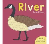 Now you See It River by Sarah Dellow Sarah Dellow (Auteur)