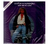 NOW YOU'RE GONE (PICTURE DISC)