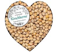 Noyaux de la cerise en Vrac pour Coussin à Chauffant Nettoyé Pierres de cerisier Cerise Sélection 1-30 kg DML, Quantité:30 kg