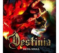 NOZOMU WAKAI's DESTINIA - Metal Souls