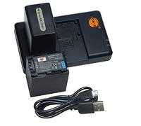 NP-FH100 Batterie au Lithium (2 Paquets) et Chargeur Double Compatible avec Sony DCR-DVD404E,DCR-DVD405