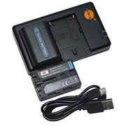 NP-FM55H Batterie au Lithium (2 Paquets) et Chargeur Double Compatible avec Sony CCD-TR108,CCD-TR208 as Sony NP-FM30,NP-FM50,NP-FM51,NP-QM50,NP-QM51