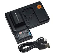 NP-FV50 Batterie au Lithium (2 Paquets) et Chargeur Double Compatible avec Sony HDR-CX220, HDR-CX230, HDR-CX290