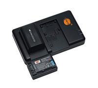 NP-FV50 Lot de 2 Batteries de Rechange Rechargeables et Chargeur Double Compatible avec Sony HDR-CX220, CX230, CX290, CX330, CX380, CX430V, CX900, CX260V, CX580V, CX760V, PJ200, etc.