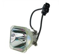 NP16LP Lampe de budgétaire pour NEC M260WS M300W M300XS M350X M361X M300Xenon M311W NP-P350X NP-UM300W UM280W UM280Wi - NP16LP-CB-B