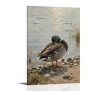 NPEJLCIGH Décoration murale moderne à suspendre Motif canard se reposant sur le rivage, tête cachée sous son aile 30 x 45 cm