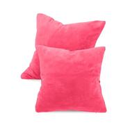 Npluseins Lot de 2 Housse Coussin 40x40 en Polaire Corail Douillette - Housse de Coussin Douce et Respirante - Qualité exceptionnelle 1257.1667, Rose