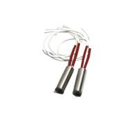 NPQRKJYH Cartouche chauffante cylindrique, 2 pièces, 16mm 30~70mm, AC110/220/380V 304SUS, Tube chauffant 150/200/250/300/350W, élément électrique(110V,304SUS 300W 16x60mm)