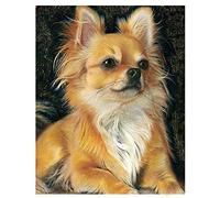 NPRZM Kit de broderie diamant 5D à faire soi-même, broderie complète au point de croix, chien Chihuahua, 50 x 60 cm