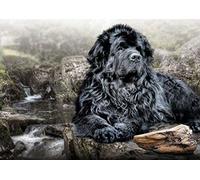 NPRZM Kit de peinture diamant 5D à faire soi-même, peinture diamant pour adultes et enfants, Terre-Neuve noire, décoration d'intérieur, cadeaux d'anniversaire, 50 x 60 cm