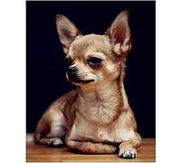 NPRZM Kit de peinture diamant 5D à faire soi-même, perceuse ronde, chien Chihuahua, broderie complète en strass, 30 x 40 cm
