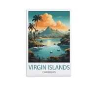 NPRZM Metal tin Sign Affiches des Îles Vierges des Caraïbes Tin Signe Vintage Metal Plaque Poster Bar Pub Maison Wall Decor 30x40cm