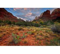 NPRZM Parc national de Zion USA DIY 5D Diamond Painting par numéro Kits uniques Décoration murale pour la maison Décoration murale en cristal strass 40x40CM