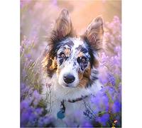 NPRZM Peinture diamant, berger australien, bricolage, broderie complète en strass, kit de peinture par numéro pour adultes, décoration d'intérieur, cadeaux, 50 x 60 cm