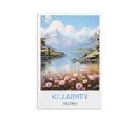 NPRZM Plaque en étain vintage, décoration murale, Killarney, Irlande, vintage, rétro, bar, club, cave, maison, cuisine, décoration murale, panneau rustique, 20 x 30 cm