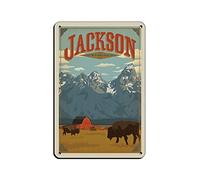NPRZM Plaques en métal vintage Jackson Wyoming Travel, affiches en métal, décoration murale, bureau, café, salle de bain, chambre à coucher, 30 x 40 cm
