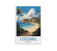 NPRZM Tin Sign Métal Cozumel Mexique Vintage Panneau Métal Étain Signe Tin Signs Plaque Métallique Décorative Wall Decor pour Maison 15x30cm