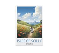 NPRZM Tin Signs Métal Îles Scilly Angleterre Tin Sign Art Plaque Affiche Rétro Métal Mur Décoratif Tin Signs pour la Maison Cuisine Bar Café 20x30cm